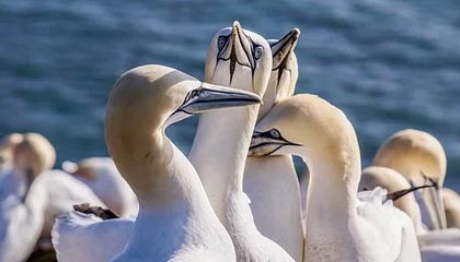 ayx：让科技贴近生活的新潮流