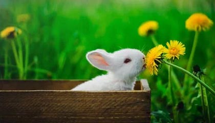 ayx：让科技贴近生活的新潮流